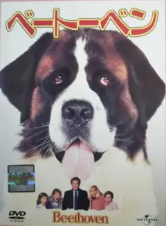＊３枚で１枚無料 ケース無し＊ベートーベン DVD