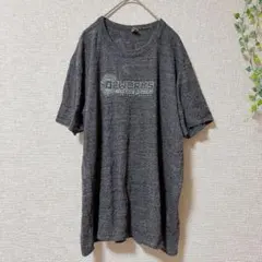 オルタナティブアース 半袖 Tシャツ XL グレー ホップワークスのサムネイル