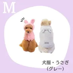 【グレー】M ドッグウェア　ペット服　犬　韓国風　もこもこ　ルームウェア　うさぎのサムネイル