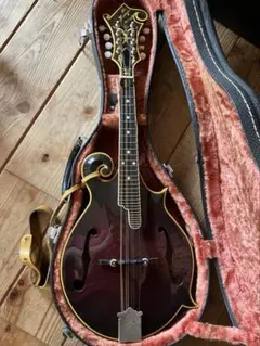 2026年最新】ギター kasugaの人気アイテム - メルカリ