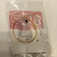 わんこタイムカプセル　モコ　シュナウザー