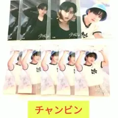 チャンビン スキズ STRAY KIDS K-POP ステッカー 9枚セット