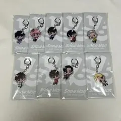Snow Man すのチル アクリルキーホルダー 9点セット