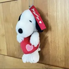 廃盤品 ユニバ USJ 限定 スヌーピー ぬいぐるみ　マスコット　キーホルダー