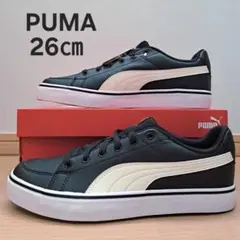 Item thumbnail for item d3455508-d9ae-4f17-bbdd-e509d01d70fc