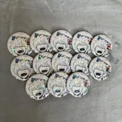 ヒロアカ 爆豪勝己 オールスター缶バッジ 13個セット