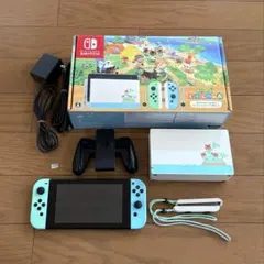 【新品】Nintendo　Switch　Nintendo Switch あつまれどうぶつの森セット　ニンテンドースイッチ Switch本体 ニンテンドースイッチ本体 Nintendo Switch あつまれ どうぶつの森 本体セット・キャリングケース