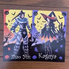 2025年最新】趙雲 無双の人気アイテム - メルカリ