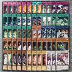 ハーピィレディ セット おすすめ