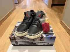 Nike Air Jordan 3 ブラック/レッド/イエロー/グリーン