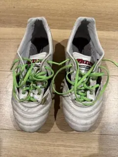 Item thumbnail for item 486478fa-3069-4487-b861-aca817dd430d