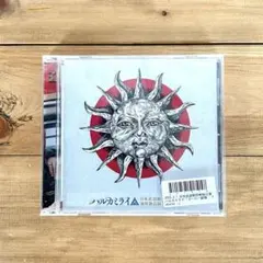 2025年最新】ハルカミライ 武道館 dvdの人気アイテム - メルカリ