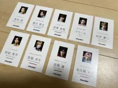 SnowMan Dangerholic 特典名刺風カード 9枚セット