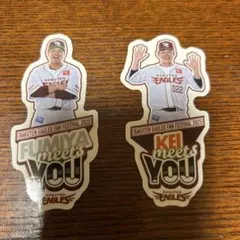 東北楽天ゴールデンイーグルス