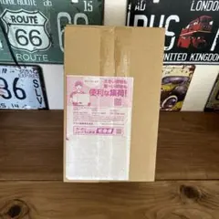 ポケモンセンターフクオカ スペシャルBOX 完全未開封　ピカピカ様専用