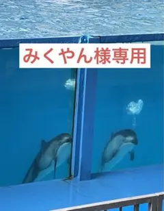 みくやん様専用