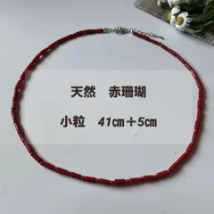 2026年最新】珊瑚 珠の人気アイテム - メルカリ
