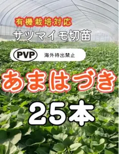 cucco様 リクエスト 2点 まとめ商品