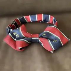 赤と青の蝶ネクタイ