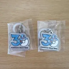 ポケモン 30周年 メタルチャームマスコット ゼニガメ 2個 セット