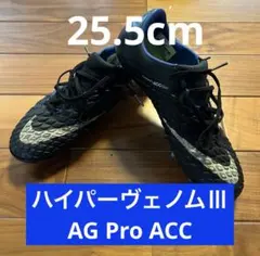 Item thumbnail for item 8eff656e-f23e-4a43-a143-1a3623c3e57a