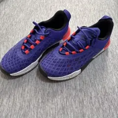 Item thumbnail for item 4090597d-8450-4f5c-ad64-b6f10b344394