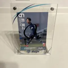 Item thumbnail for item 6f488f3a-3f01-4b0a-8d69-87560a8ada44