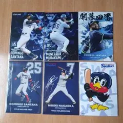 プロ野球チップス2025東京ヤクルトスワローズまとめ売り