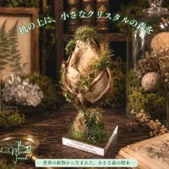 イルカの化石　標本のサムネイル