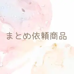 みぃ様 リクエスト 2点 まとめ商品のサムネイル