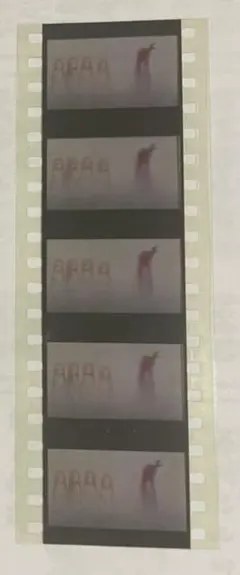 映画 五等分の花嫁 第6弾特典 生コマフィルム 四葉 結婚式ラストシーン 幼少期