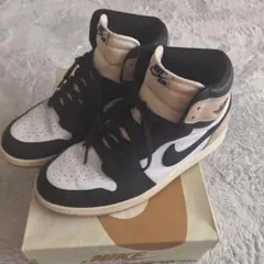 NIKE Air Jordan 1 ラテ