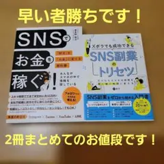 ズボラでも成功できるSNS副業のトリセツ SNSでお金を稼ぐ