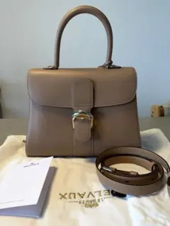 【正規品未使用】Delvaux Brillant MM ベージュのサムネイル