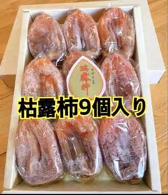 Item thumbnail for item fc4781ad-5636-467b-a0e8-f9e7f37461e2