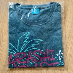 Item thumbnail for item 08b7e189-2707-4750-8615-009a1b9e9b95