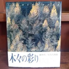 Item thumbnail for item dd603aa1-6cbf-4125-ae44-97dadb49fbde