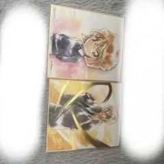 名探偵コナン　灰原哀、安室透色紙