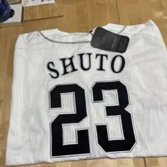 Item thumbnail for item bc51cf2e-2eca-4ccf-ba07-02330ec9fd2b