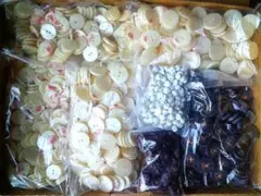 ボタン 国産 まとめて 貝ボタン風 水牛調