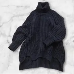 イリアンローブ iliann loeb ニット