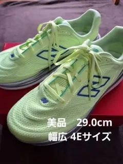 【美品 走行僅少】29.0cm 幅広4E ニューバランス1080 v15