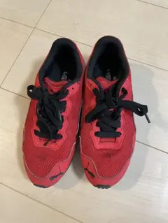 Item thumbnail for item cb4f5818-1286-44d9-8ce5-14dffe3b8dfe