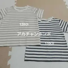 ボーダー Tシャツ 110cm 120cm 2枚セット