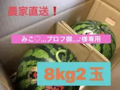 みこ♡…プロフ御確認願います。♪様専用