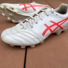 ASICS DSライトアドバンス 24センチのサムネイル