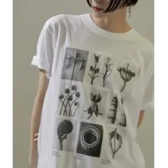 SALON adam et rope' カールブロスフェルト フォトTシャツのサムネイル