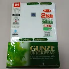 GUNZE 半袖U首 Tシャツ 2枚組 M