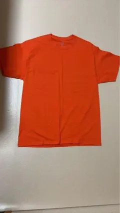 Item thumbnail for item 8a2bbc3d-0a3c-4414-8df0-9dfc9ea72ba3