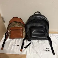 2026年最新】coach レキシー リュックの人気アイテム - メルカリ